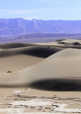 Mesquite Flat Dune field