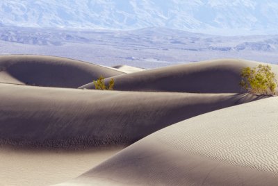 Mesquite Flat Dune field