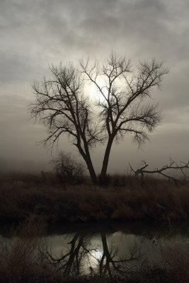 Holcim Wetlands