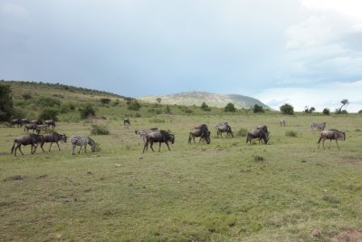 On the Way to Masai Mara