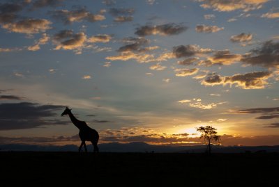 Sunrise At Masai Mara