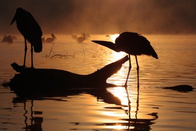 Sunrise at Lake Nakuru