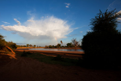 Samburu National Reserve (Uaso Nyiro River)