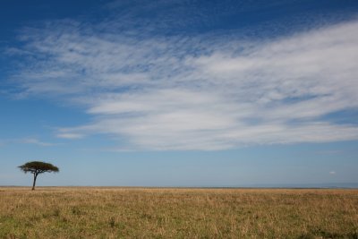 Masai Mara