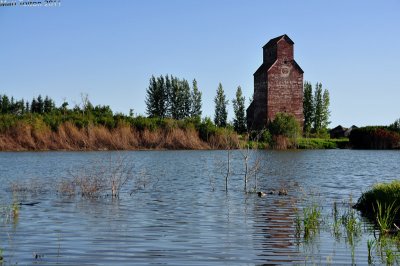 Reynaud - July 2010