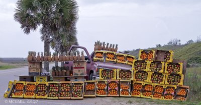 Roadside Fruit Stand