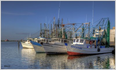 Shrimp Boats