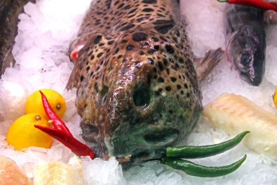 Cat Fish with Peppers and Lemon