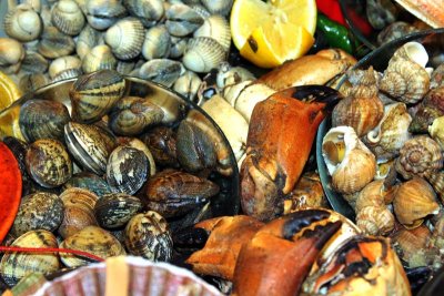 Horse Welks, Crab Claws, Cockles