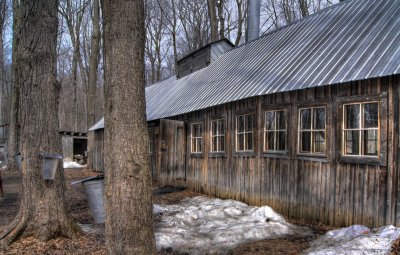 La cabane  sucre