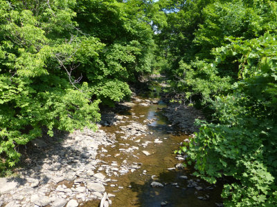 Creek alongside path