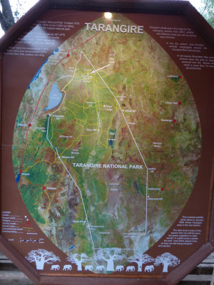 Tarangire
