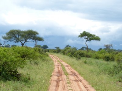 Road in Tarangire