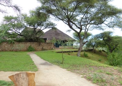 Path to Restaurant 