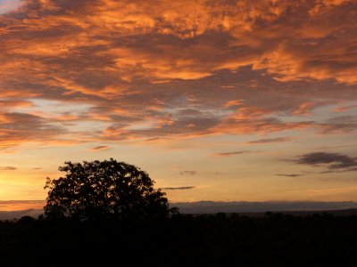 Sunrise at Tarangire