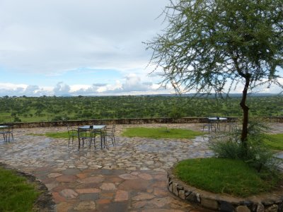 Restaurant Terrace