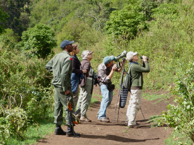 Early birding at Ngorongoto