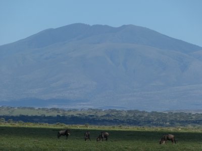 On Road to Serengeti