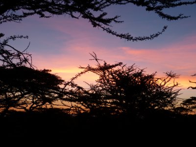 Sunset at Ndutu
