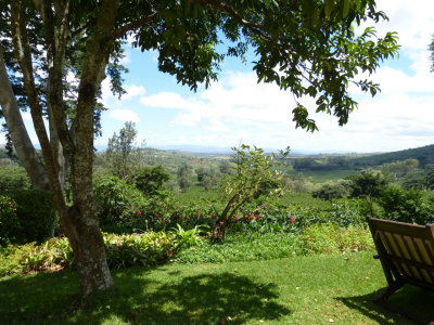 serengeti_to_ikoma_camp