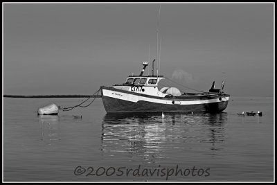 Old Snug Harbor Boat or Bird Boat