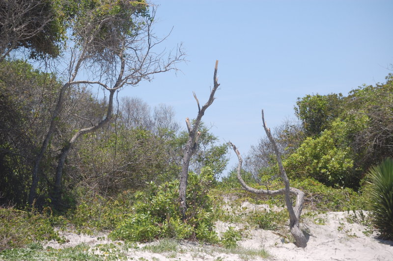 Charleston Beach