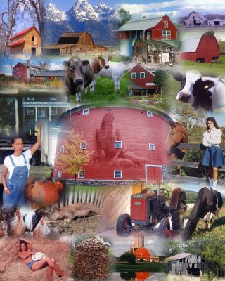 Farmer Collage