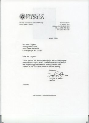 University of Florida letter