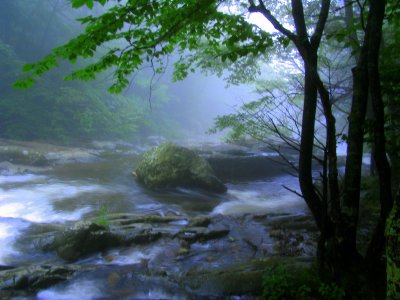 Shenandoah National Park