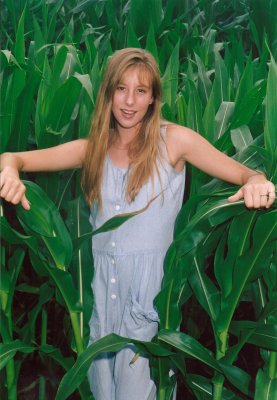 In the Corn Fields