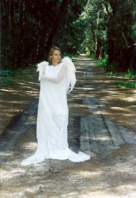 Angel on the Pathway