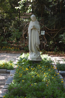 Magnolia Plantation
