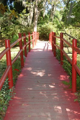 Magnolia Plantation