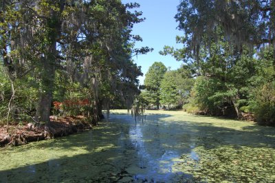 Magnolia Plantation