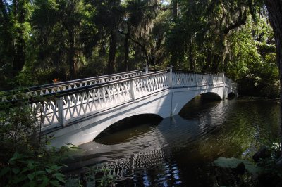 Magnolia Plantation