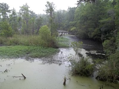 Old Santee Canal Park