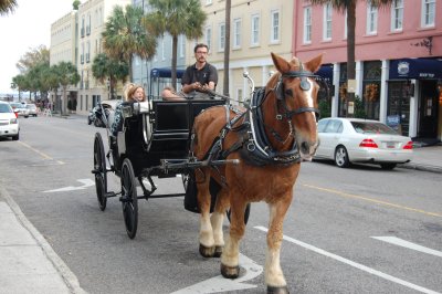 Charleston Transportation