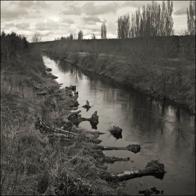 Sammamish River