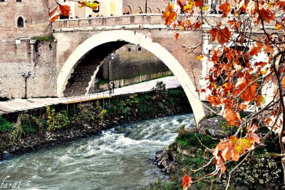 DSC_0493.P.ROME.jpg