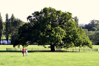 danson park.p2.jpg