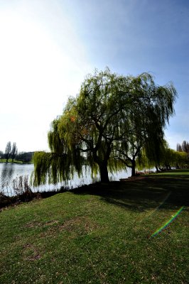 DSC_3577.p3.jpg