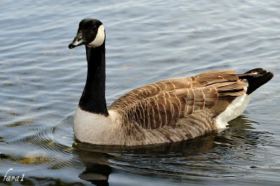 DSC_3634.m.jpg