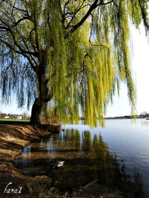 DSC_3660.l.jpg