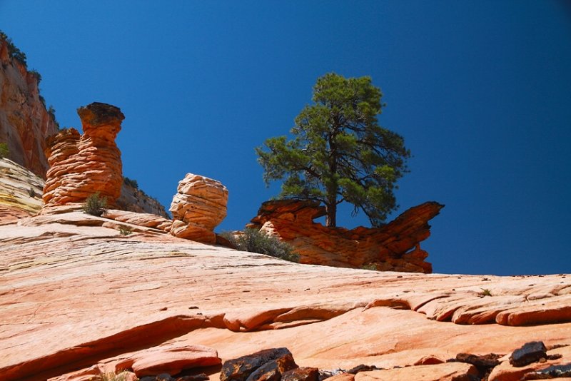 zion_national_park
