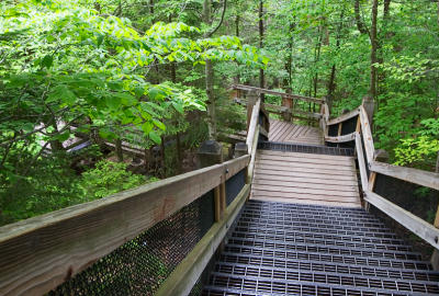 Stairs to the Falls