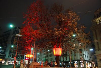 DSC_0868.JPG
