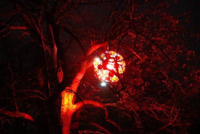 DSC_0874.JPG