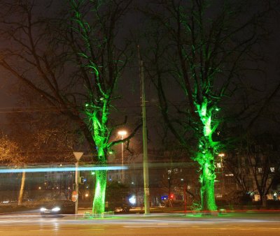 DSC_0879.JPG