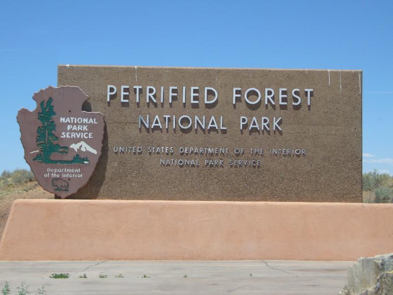 petrified forest national park