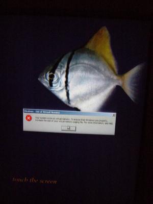 g4/31/164031/3/60561068.crapP1000145.jpg